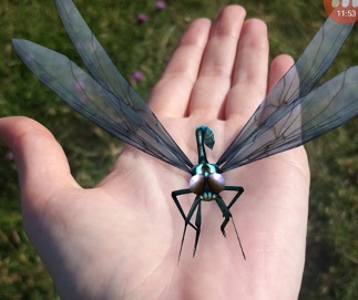 AR dragonfly in someones hand